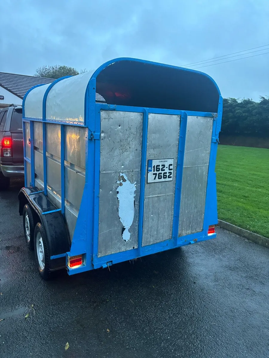 8f Cattle trailer - Image 4