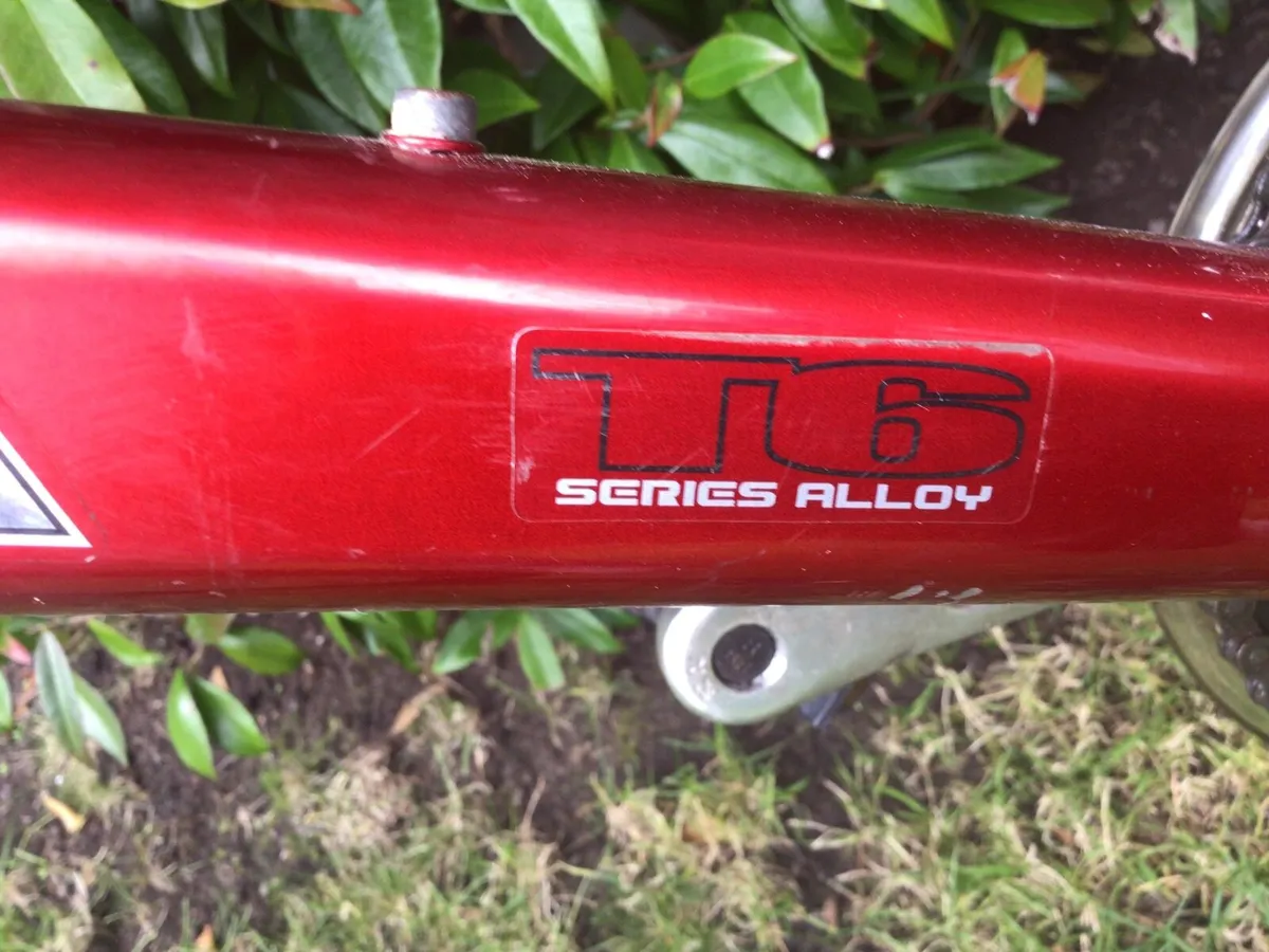 REFLEX HARDTAIL Bike - Image 2
