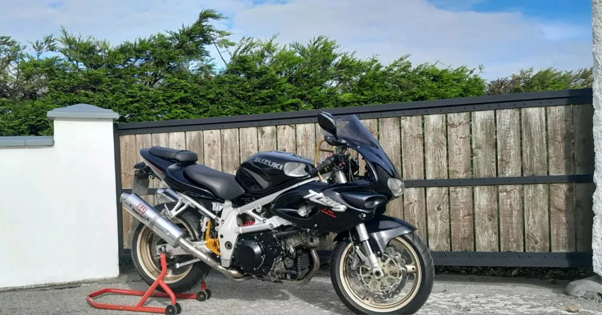 SUZUKI TL1000S - Image 1