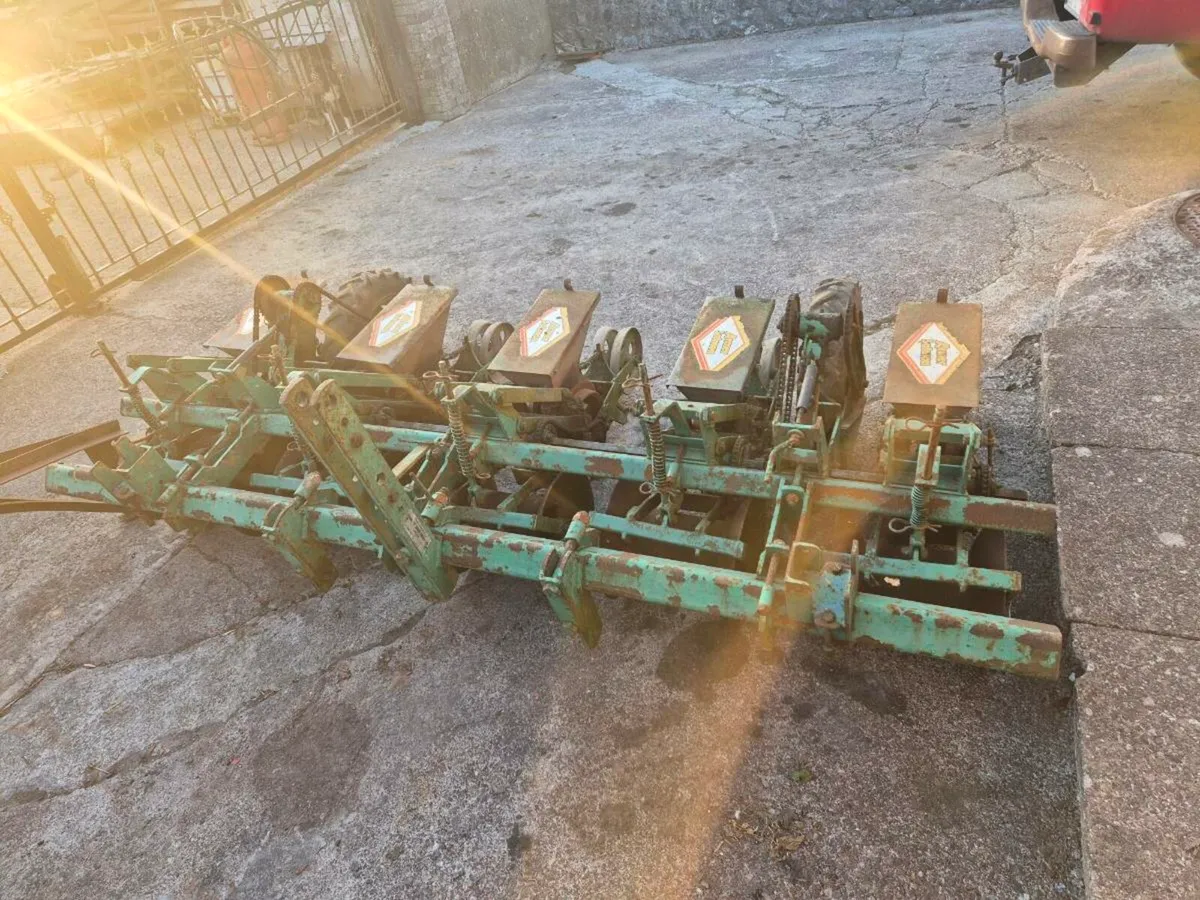 Beet seeder - Image 2