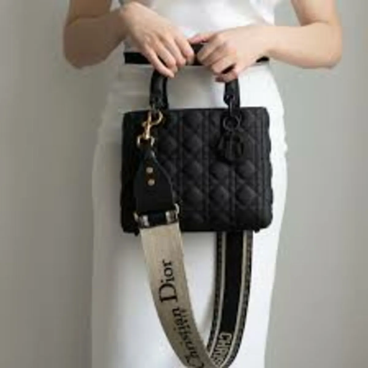 Christian Dior Canvas and Leather Bag Strap - Image 2