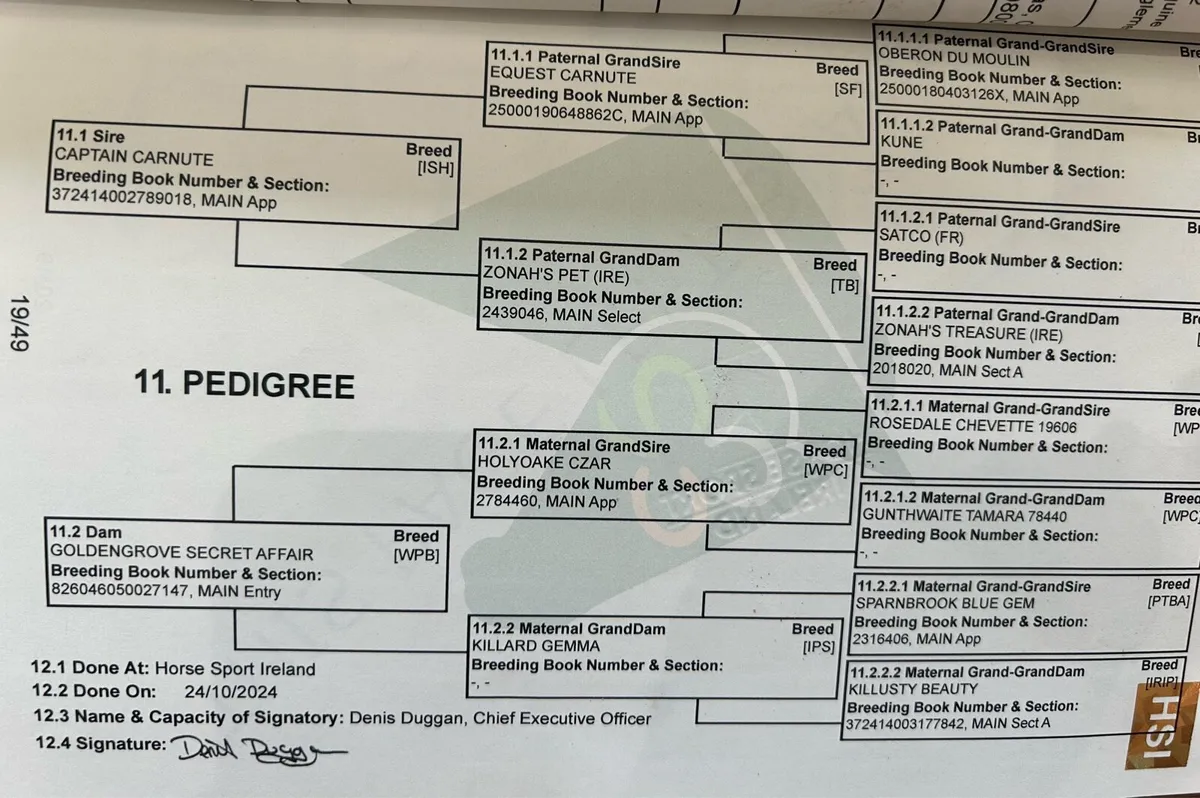 148 3 year old - Image 4