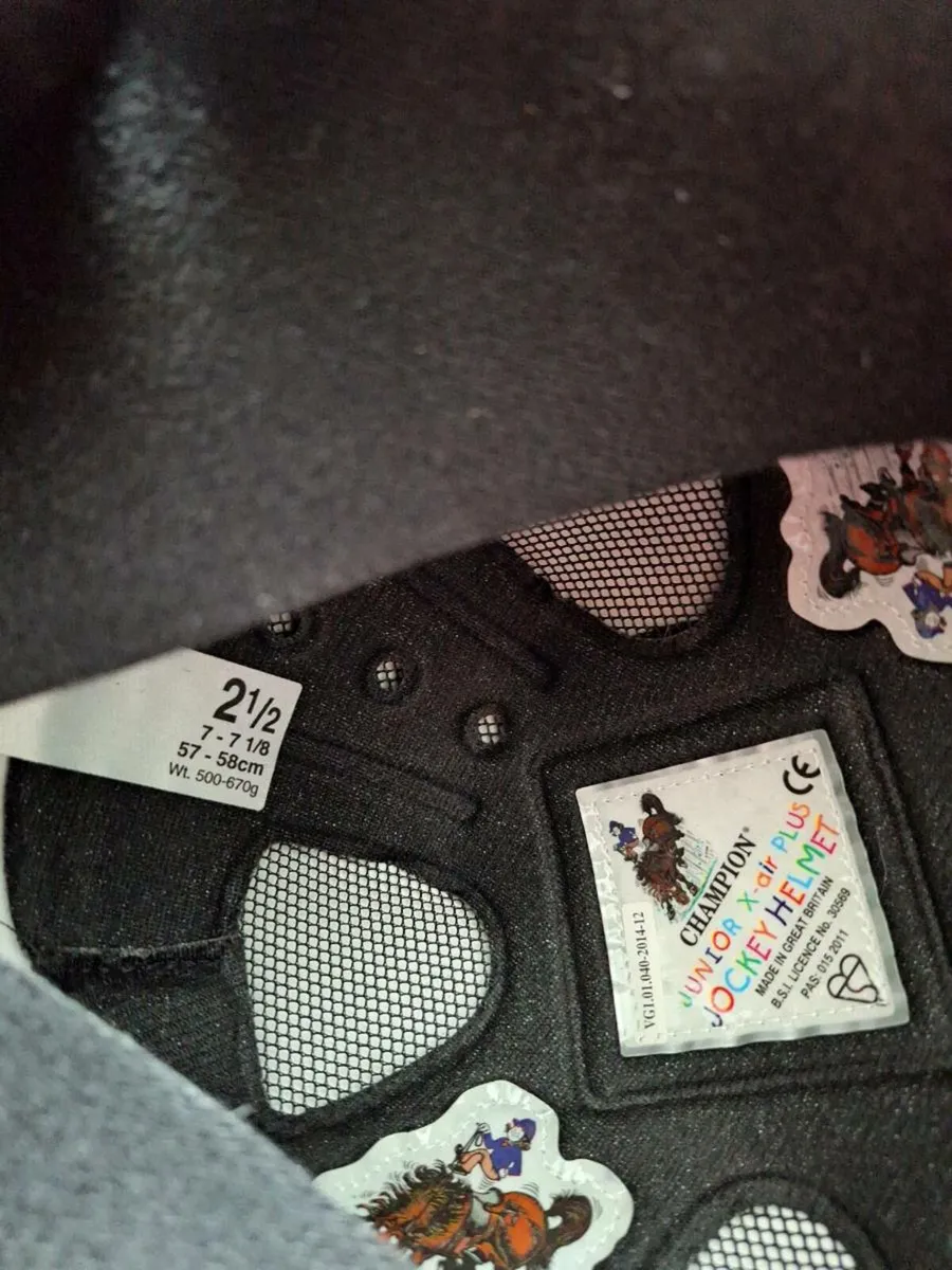 Boots, Helmet, Chaps - Image 3