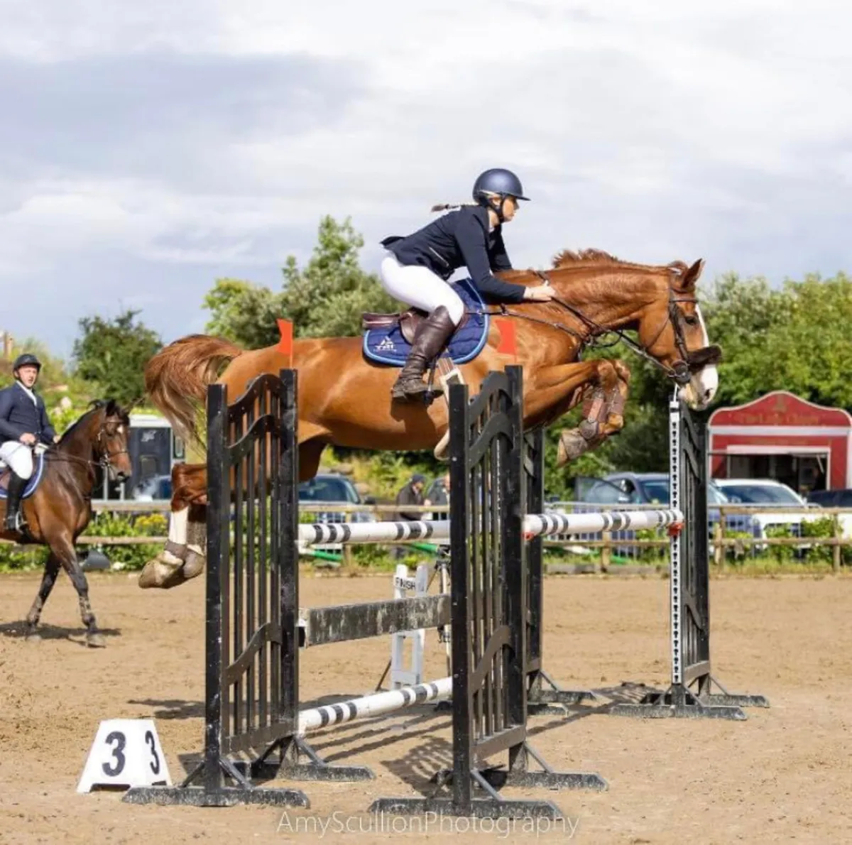 Stunning allrounder for sale - Image 1