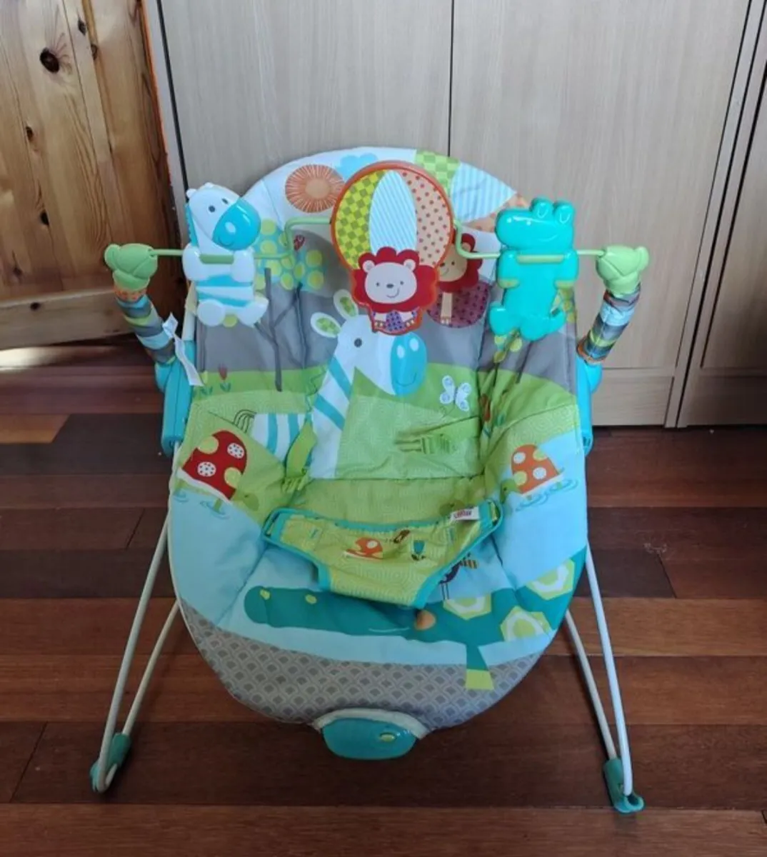 Baby Bouncer - Image 1