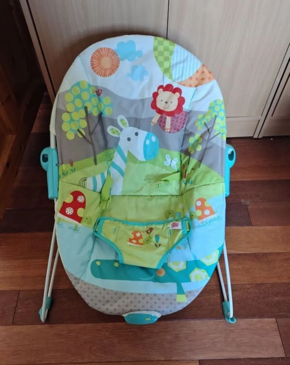 Baby Bouncer - Image 2