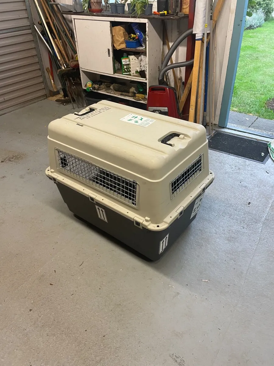 Dog travel box - Image 1