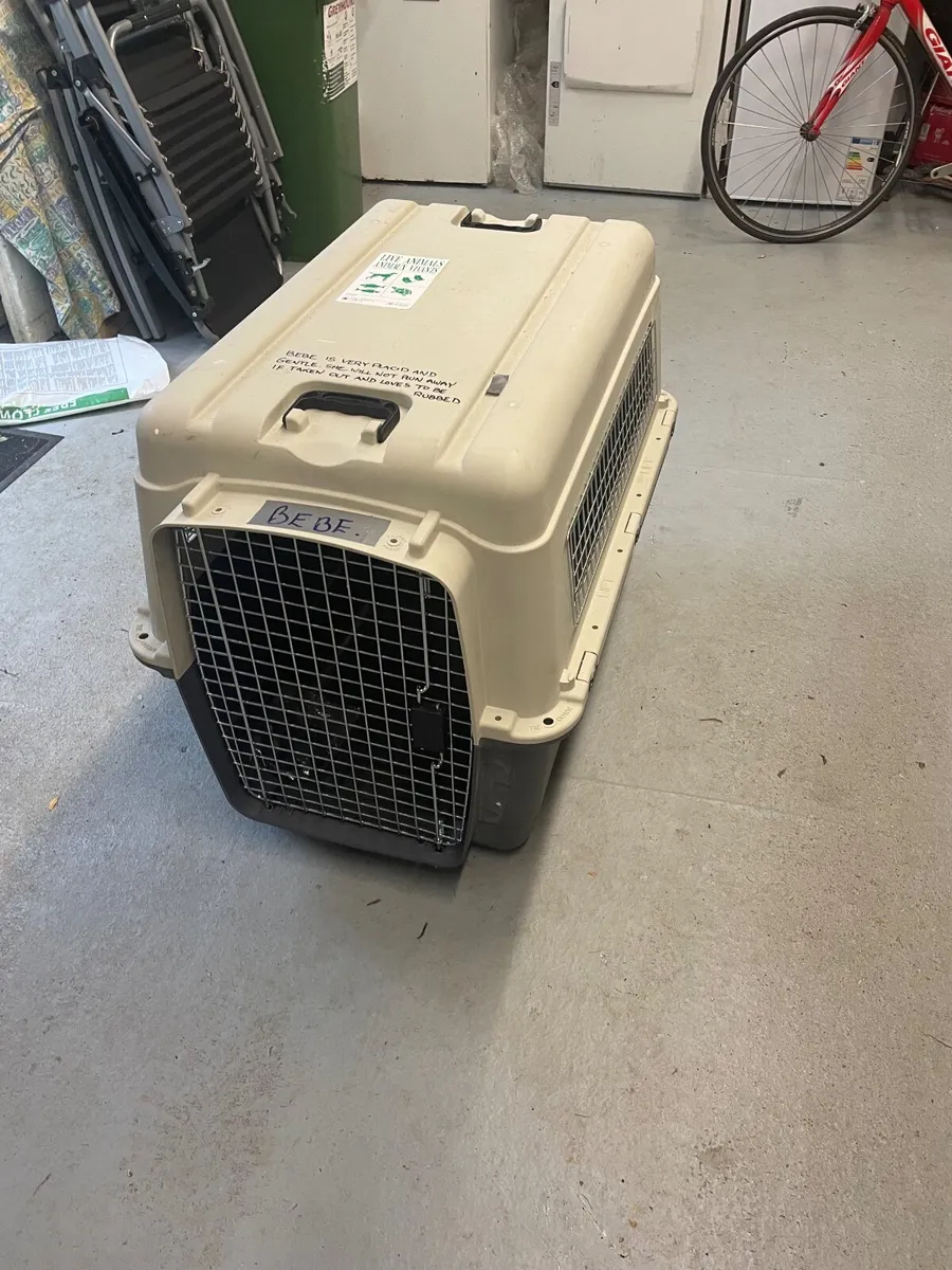 Dog travel box - Image 2