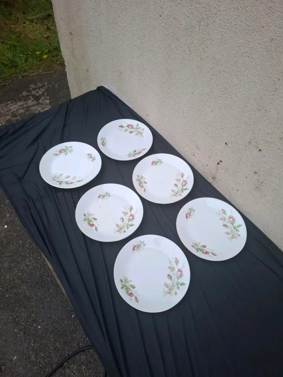 6 china roses sides plates postage possible - Image 1