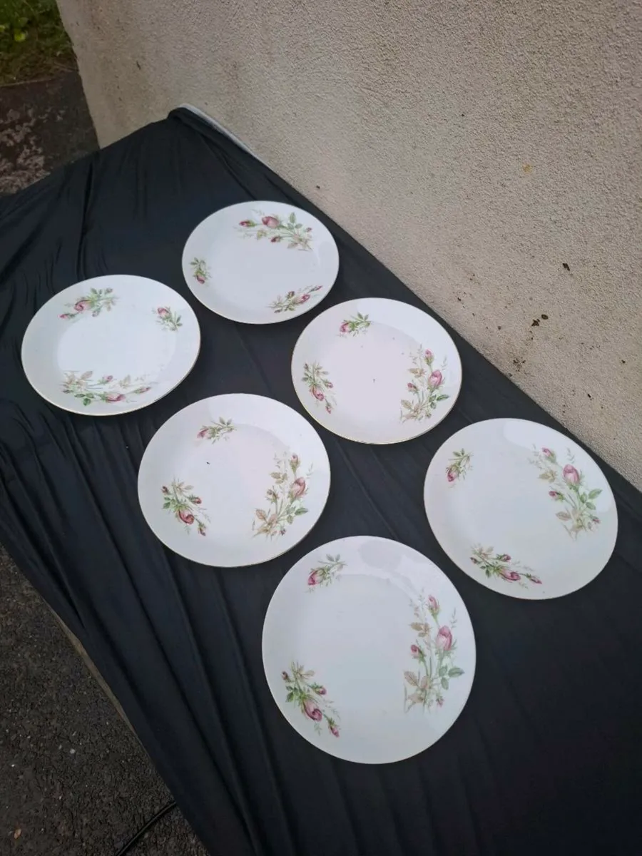 6 china roses sides plates postage possible - Image 2