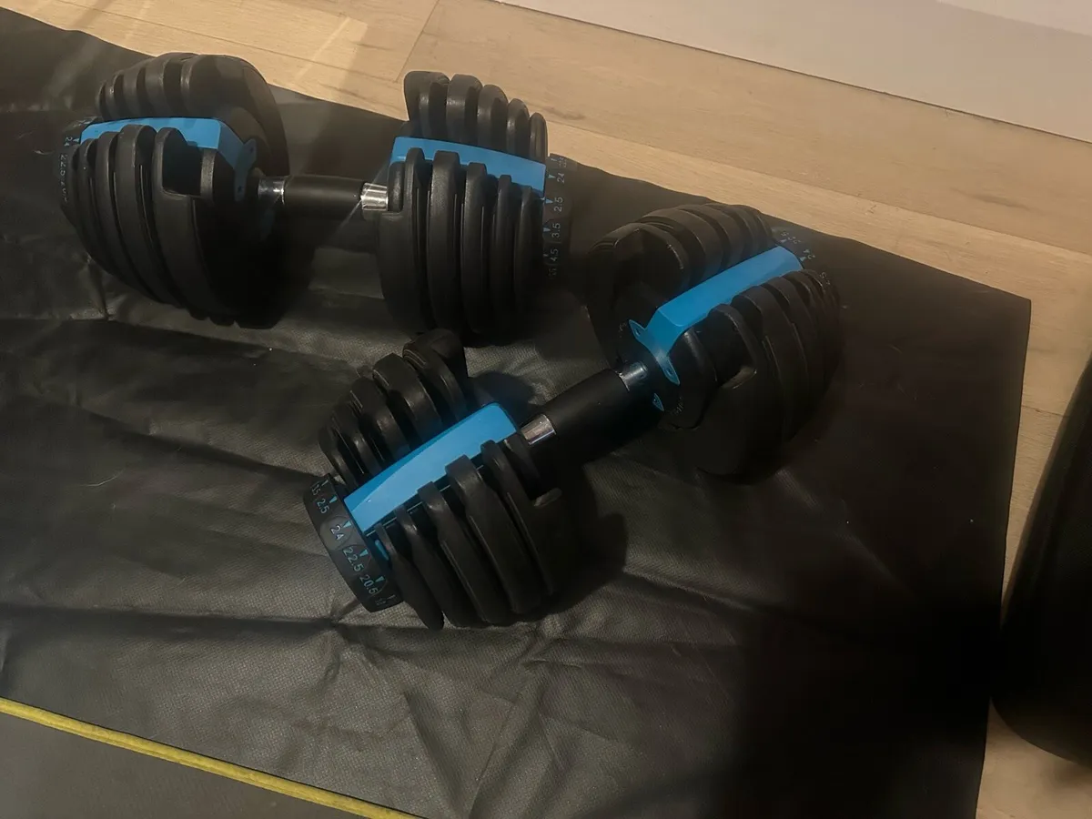 24kg adjustable weights - Image 1