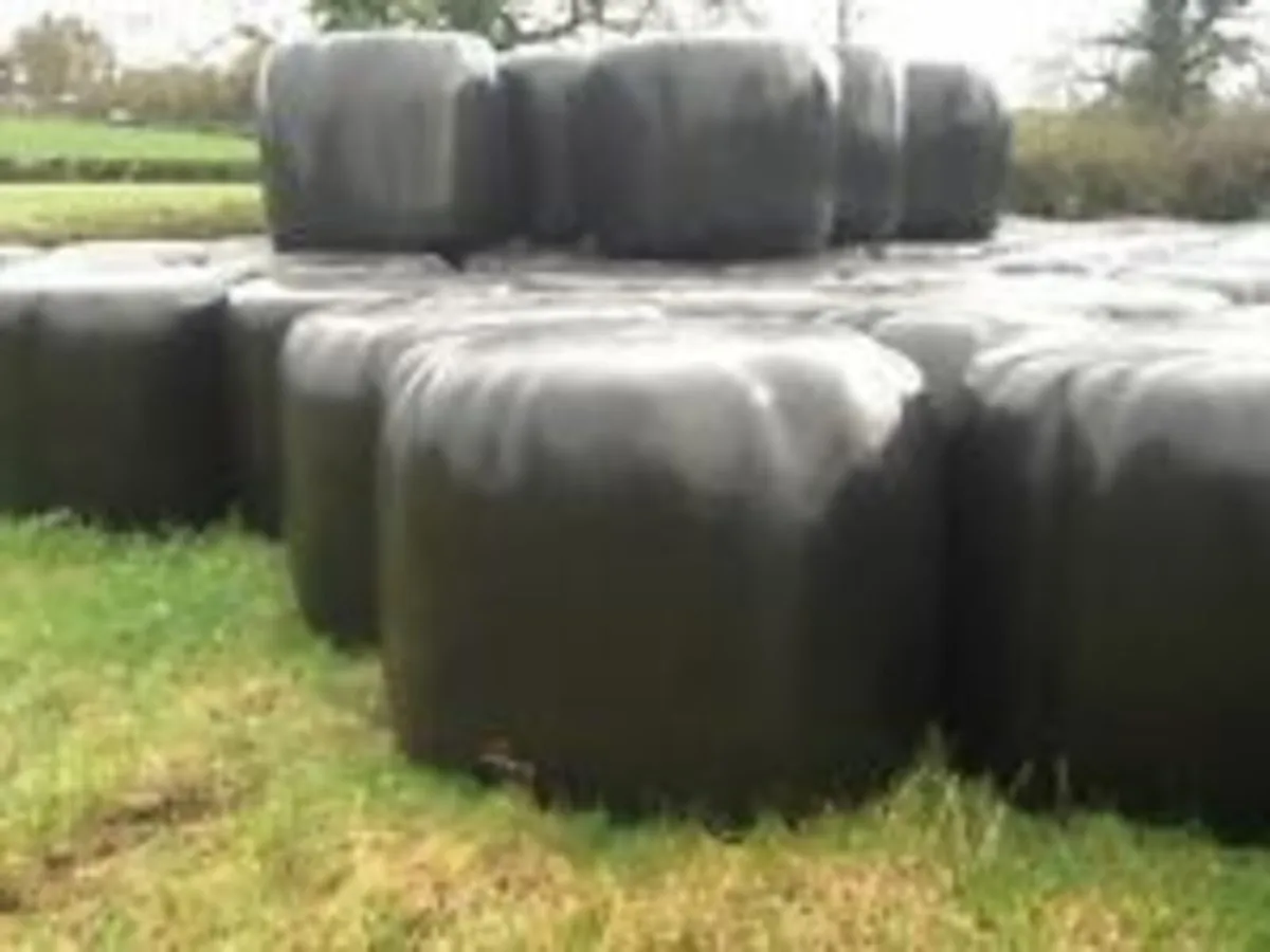 bales - Image 2