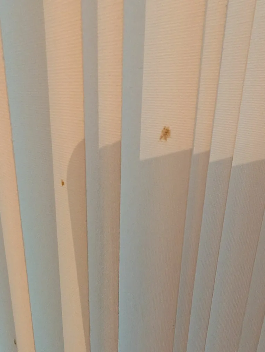 Blinds - Image 1