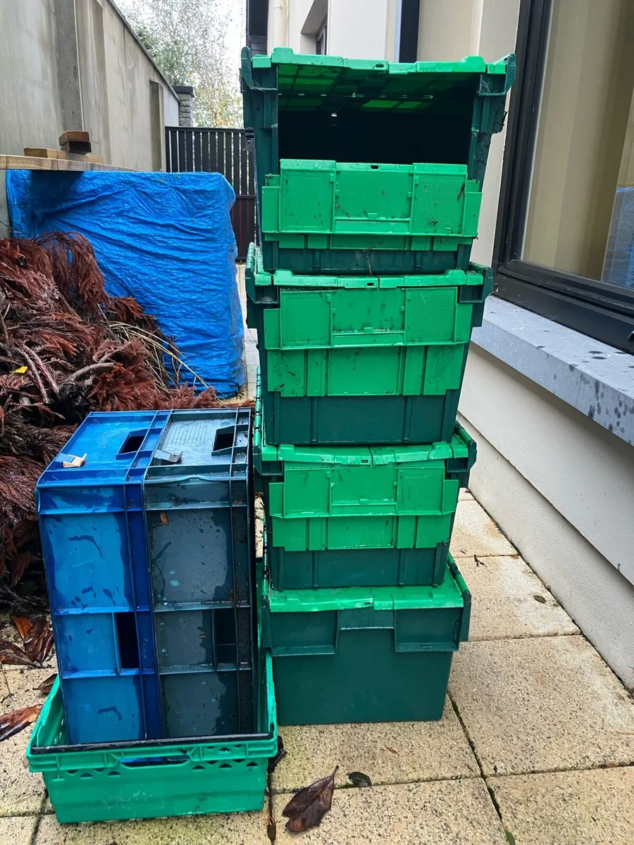 Storage boxes