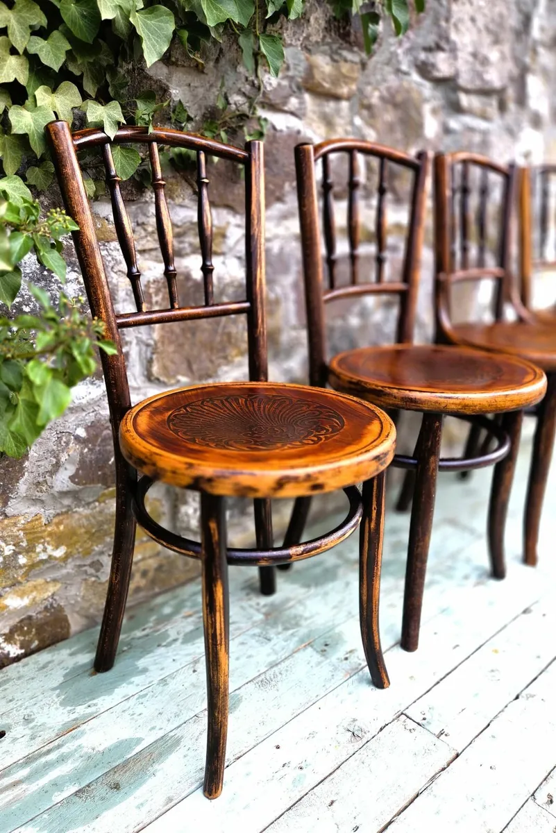 Antique Bentwood Chairs x 4- Circa 1920s - Image 4