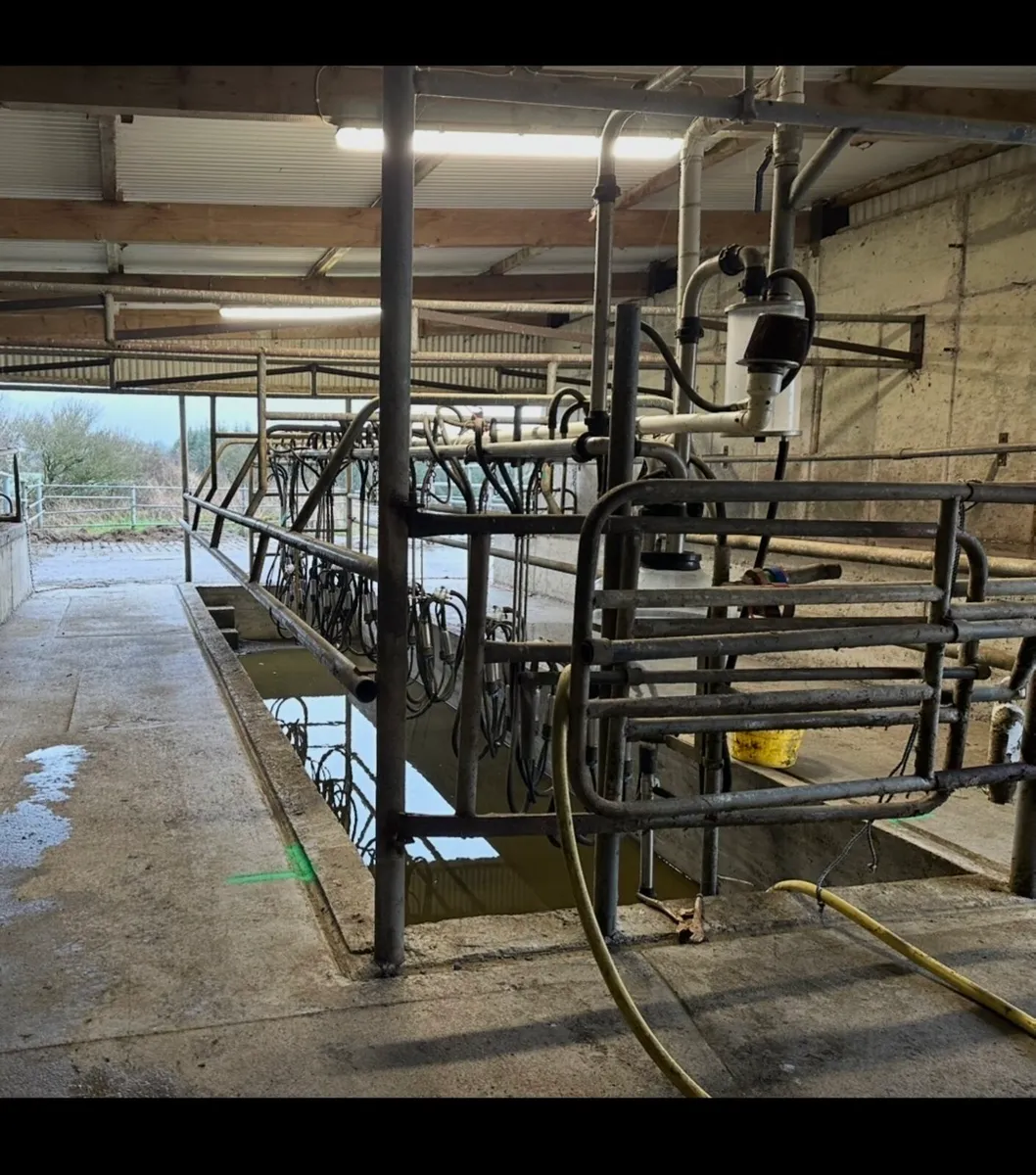 Dairymaster claws and plate cooler - Image 1