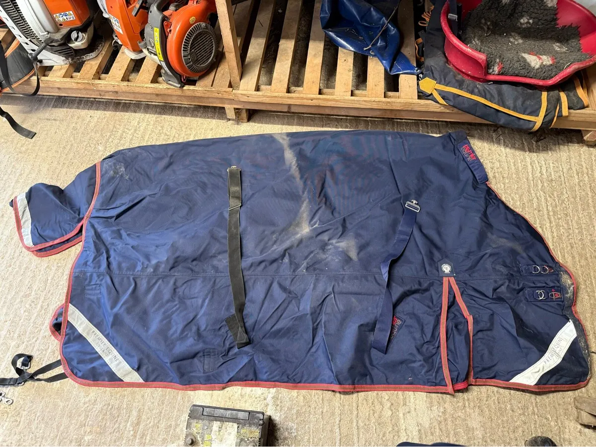 Tack Room Clear Out - Image 1