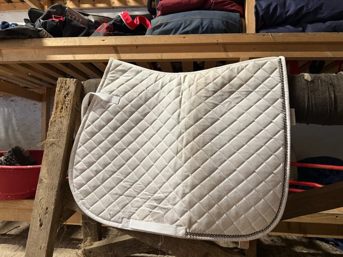 Tack Room Clear Out - Image 4