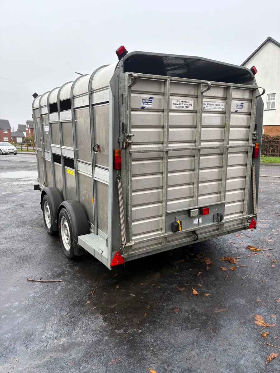 Ifor Williams 12ft cattle trailer - Image 2
