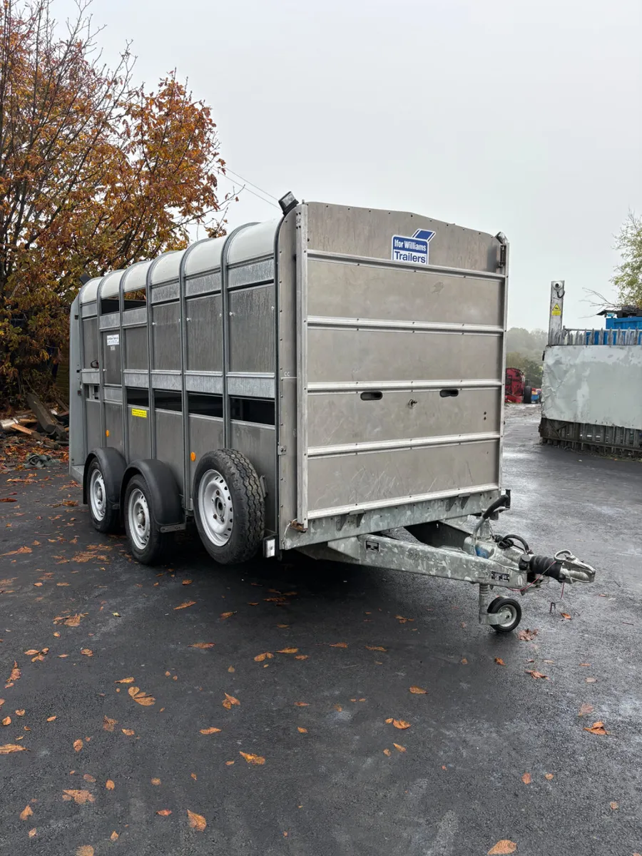 Ifor Williams 12ft cattle trailer - Image 1