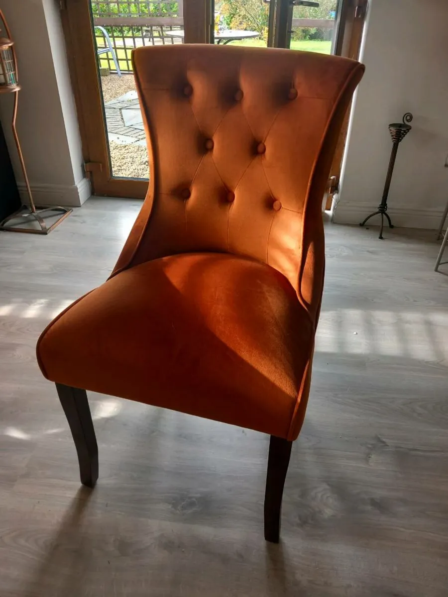 Dining chairs - Image 1