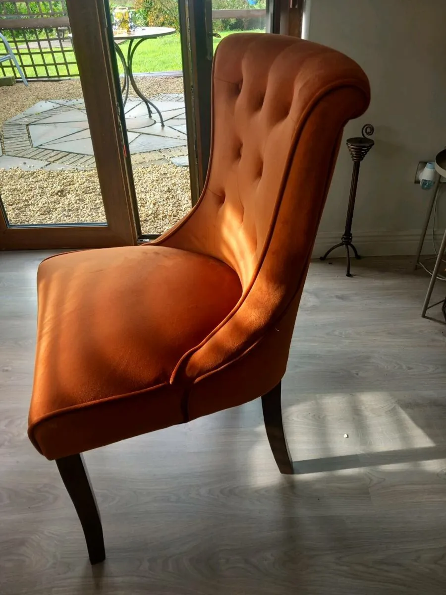Dining chairs - Image 2