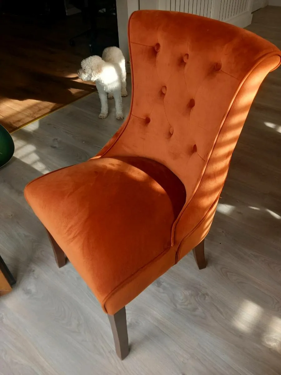 Dining chairs - Image 4