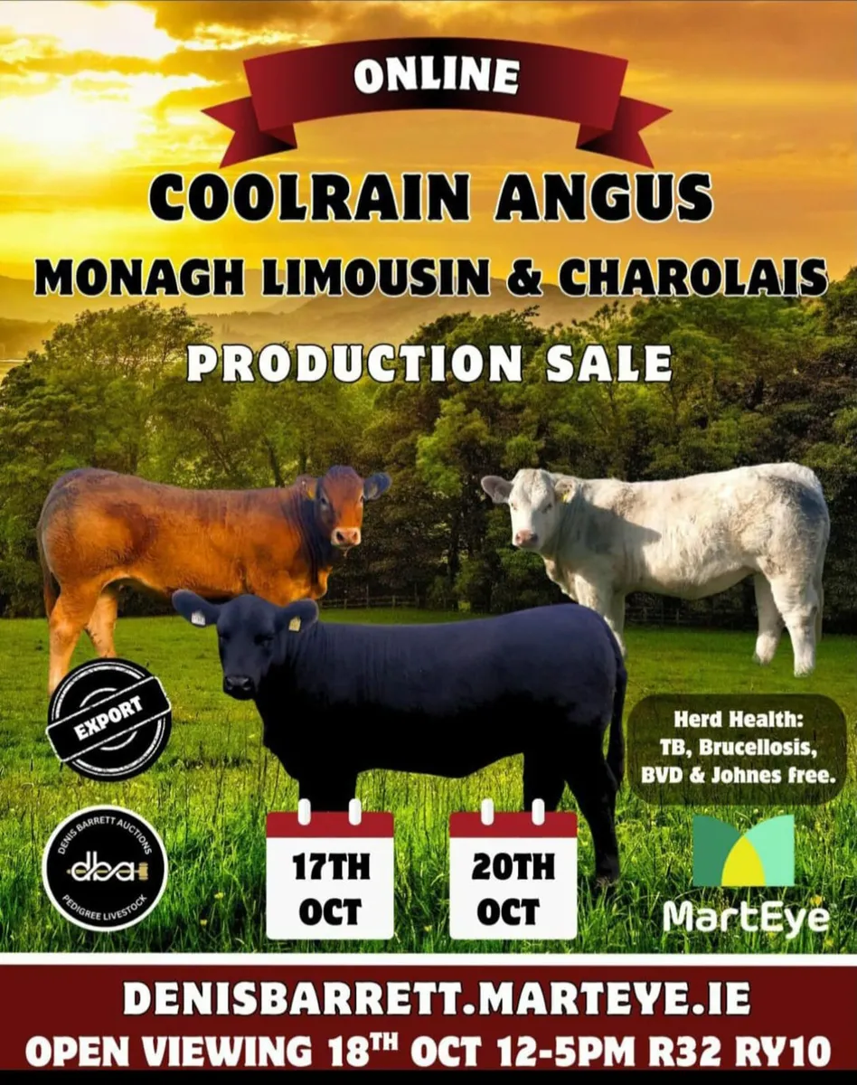 REMINDER !!!! ONLINE SALE CLOSES THIS EVENING 7PM - Image 1