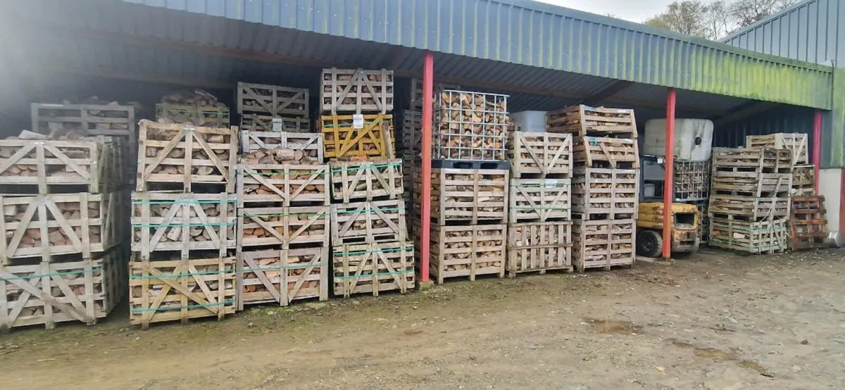 Firewood - Image 1