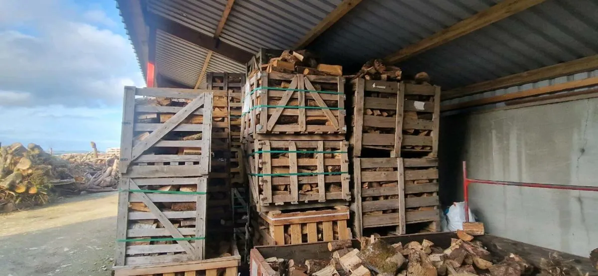 Firewood - Image 2
