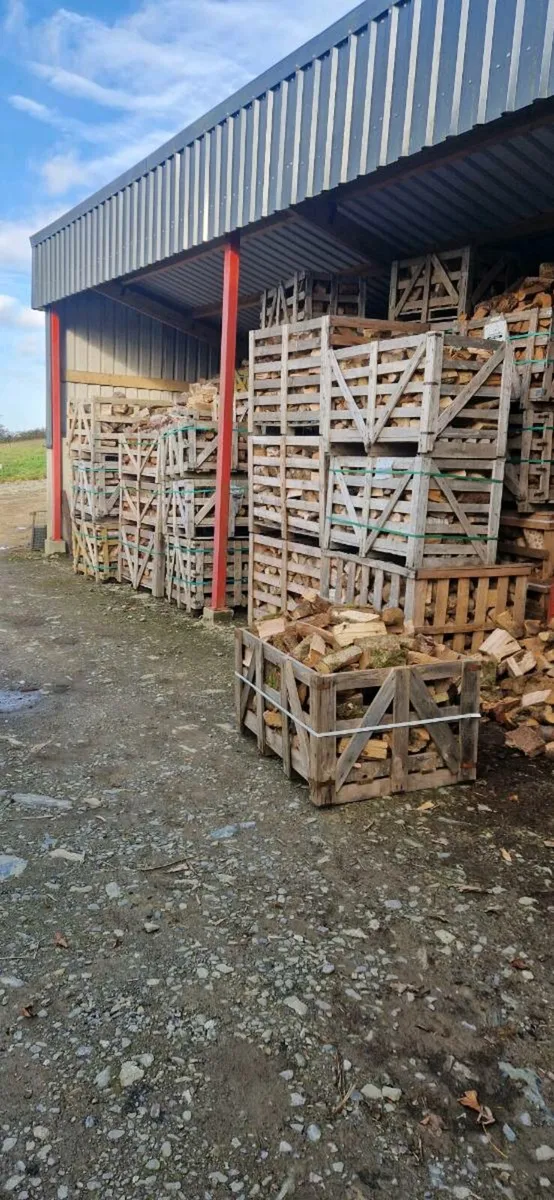 Firewood - Image 3