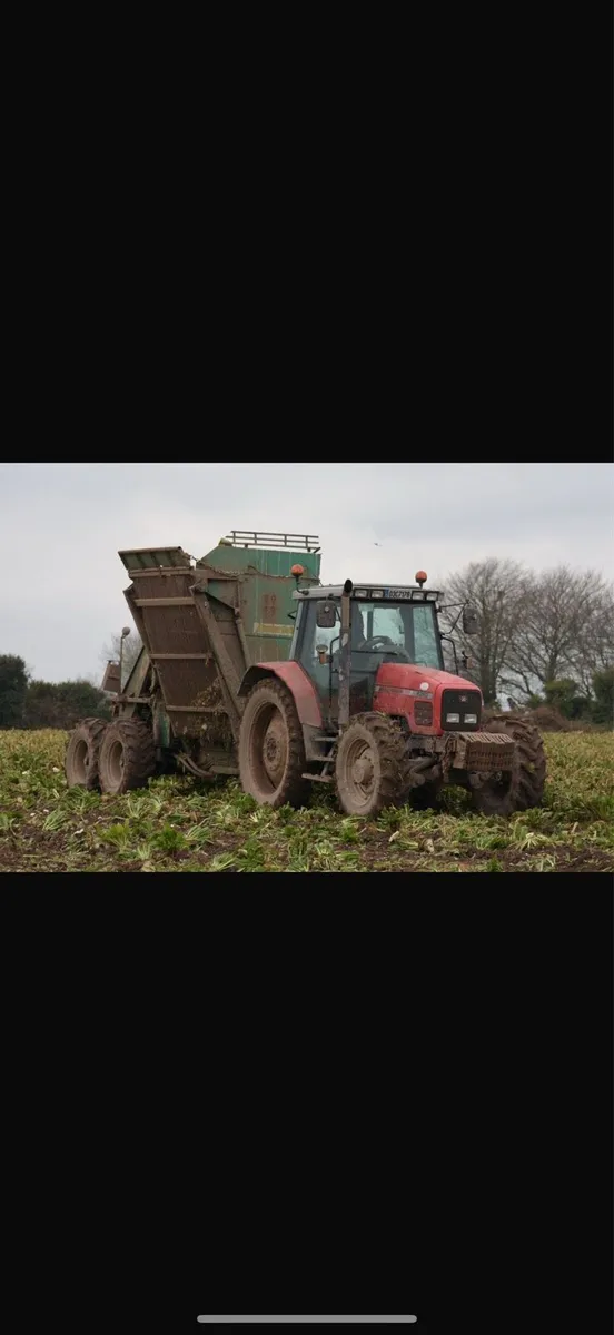 Fodder beet delivered - Image 1