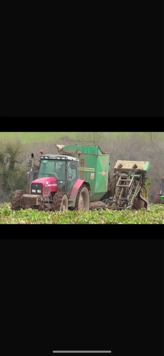 Fodder beet delivered - Image 3