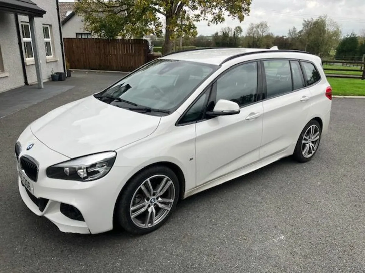 2 Series GT,  M Sport, 7Seats, Auto, Black Leather - Image 2