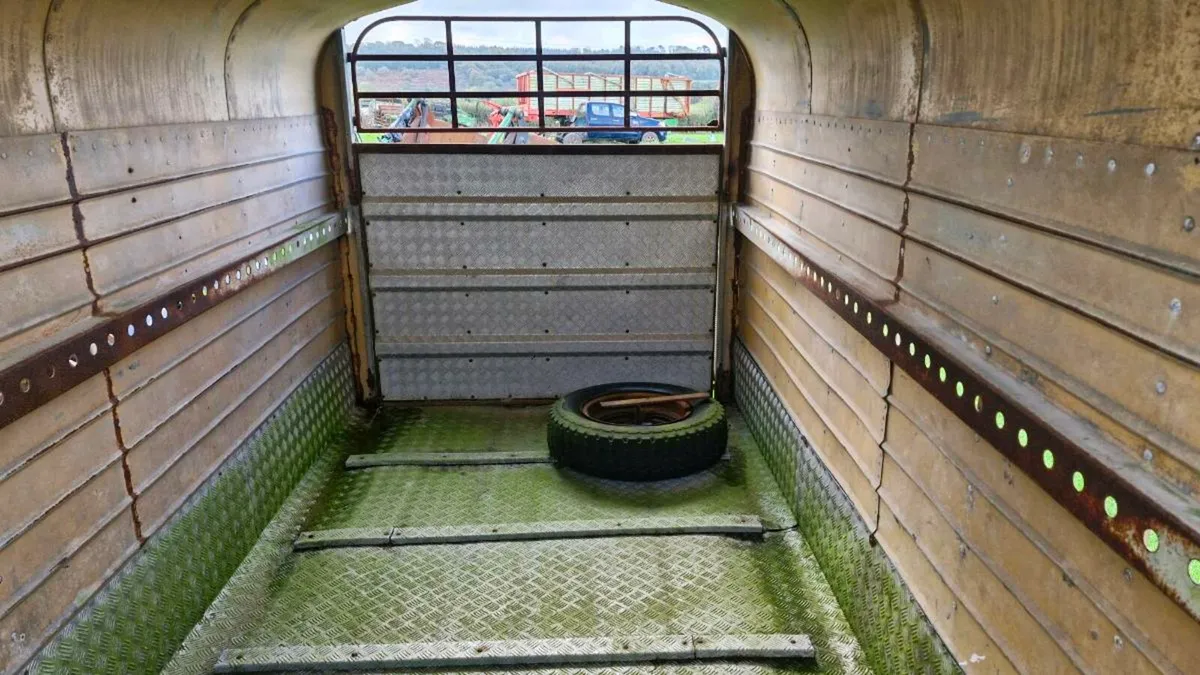 Cattle Trailer - Image 2