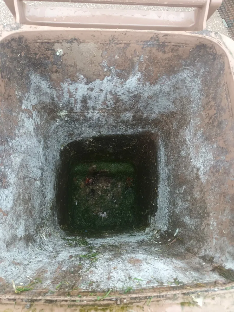 Bin Washing, Power Washing, Handyman - Image 2