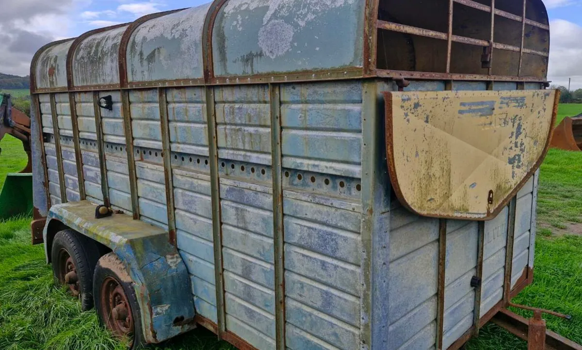 Cattle Trailer - Image 4