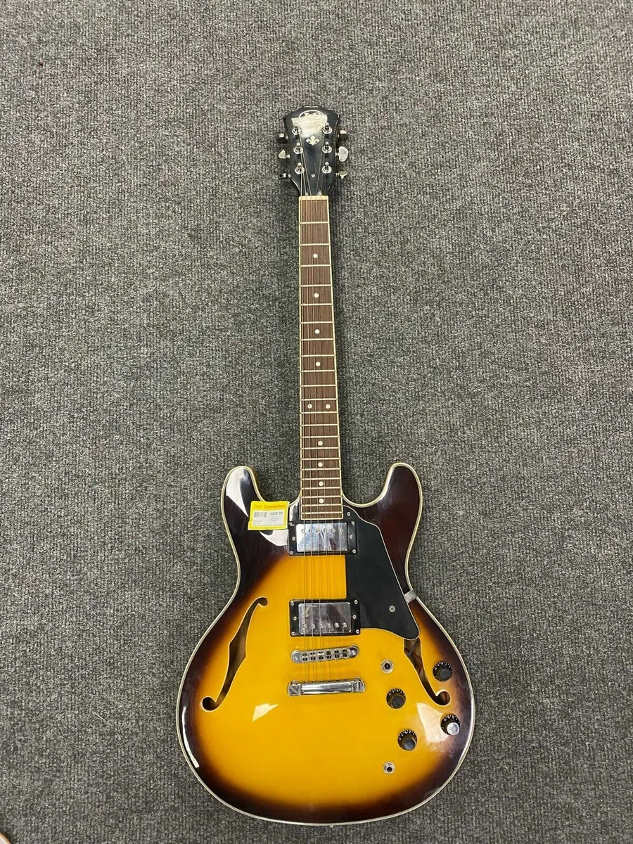 J&D Hollow Body Electric Guitar - Image 1