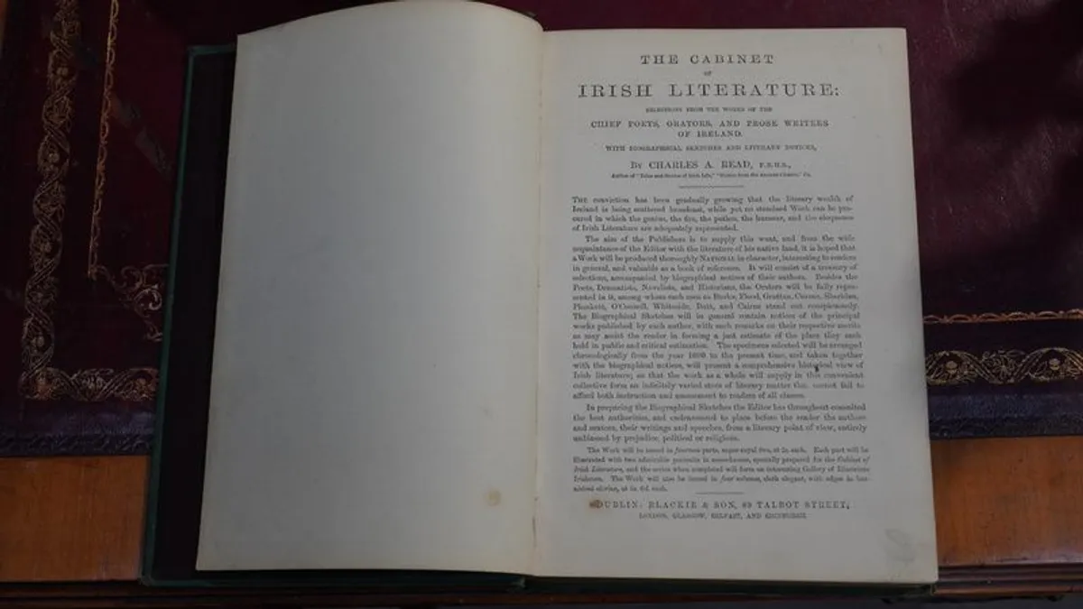 Set of 3 Antique Books: The Cabinet of Irish Literature - Image 4