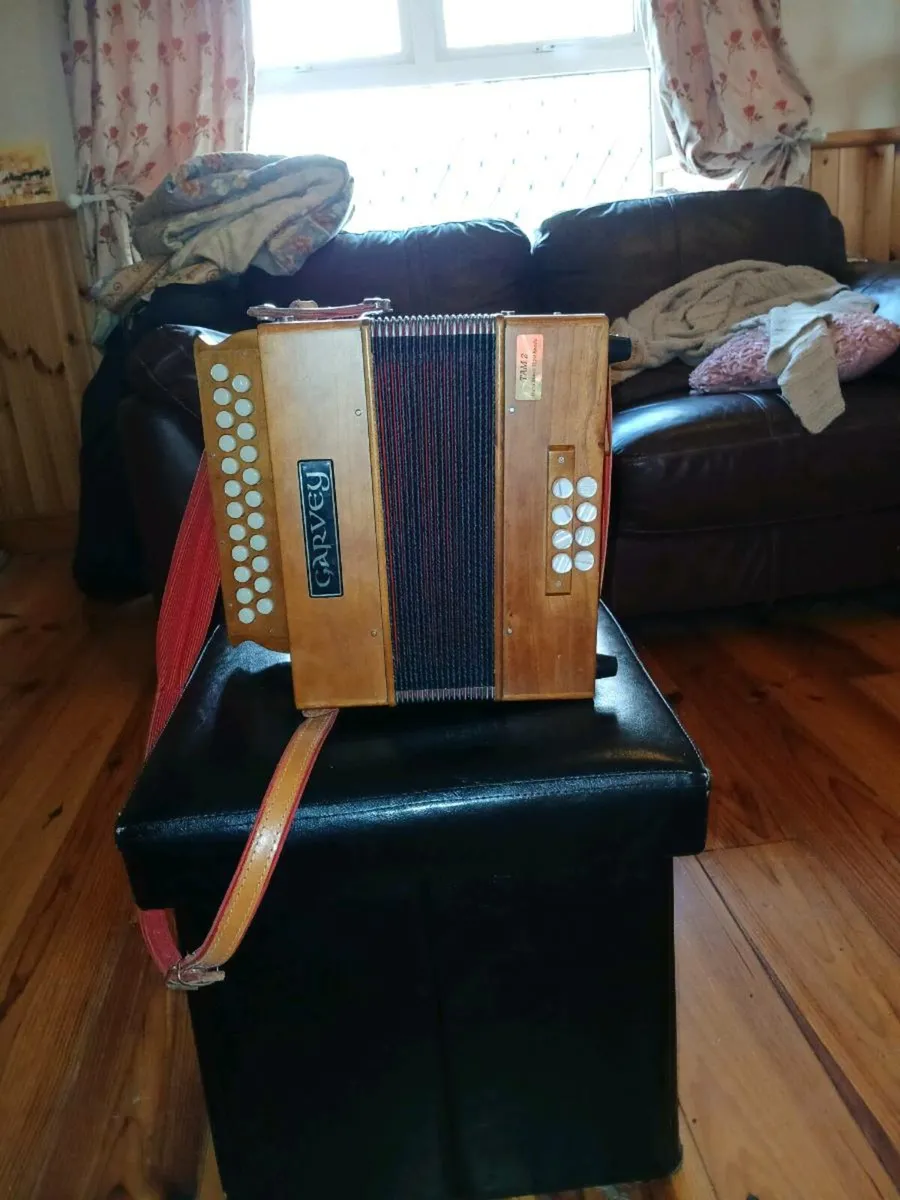 Accordion - Image 2