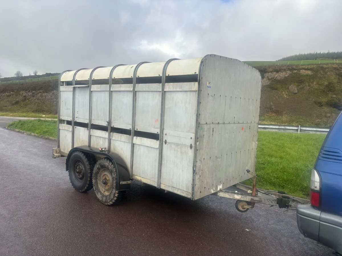 ifor williams ta510 12ft - Image 1