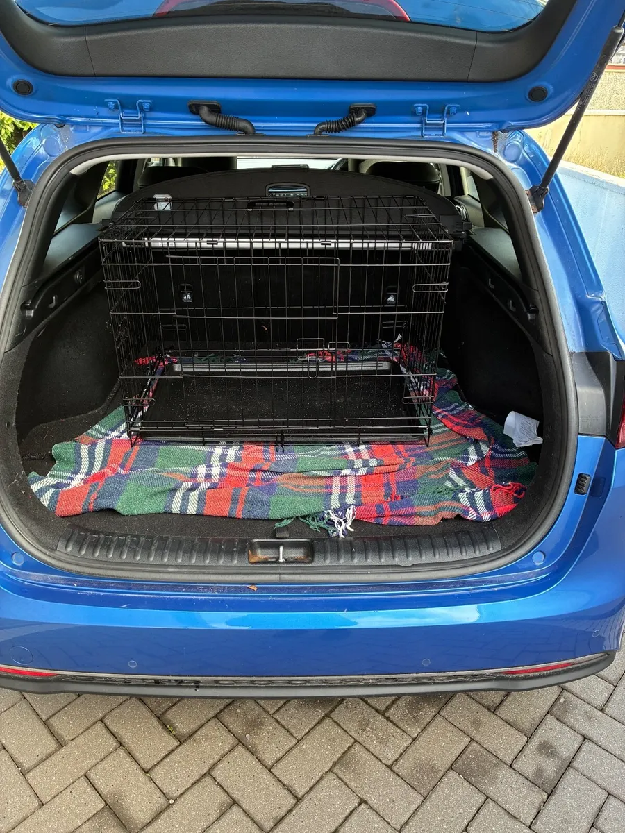 Crate for medium sized DOG - Image 1