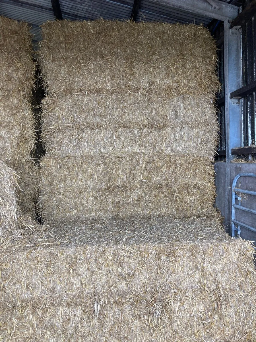Straw - Image 2