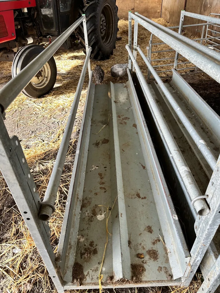 Sheep feeding barriers - Image 3