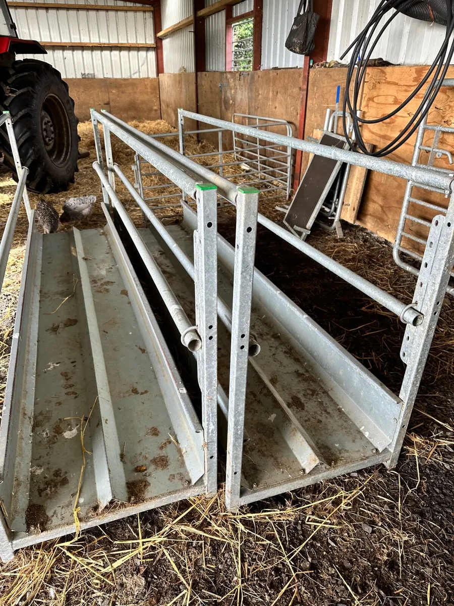 Sheep feeding barriers - Image 4