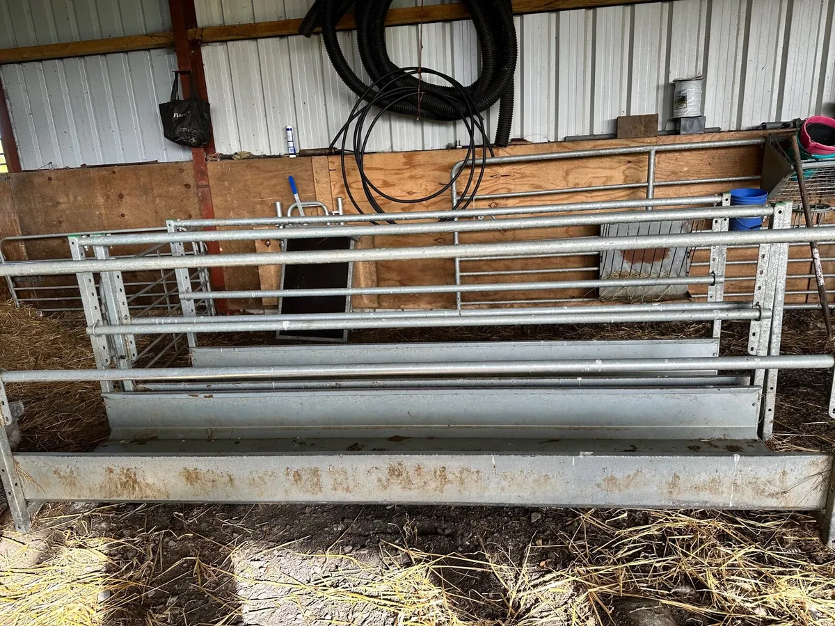 Sheep feeding barriers - Image 1