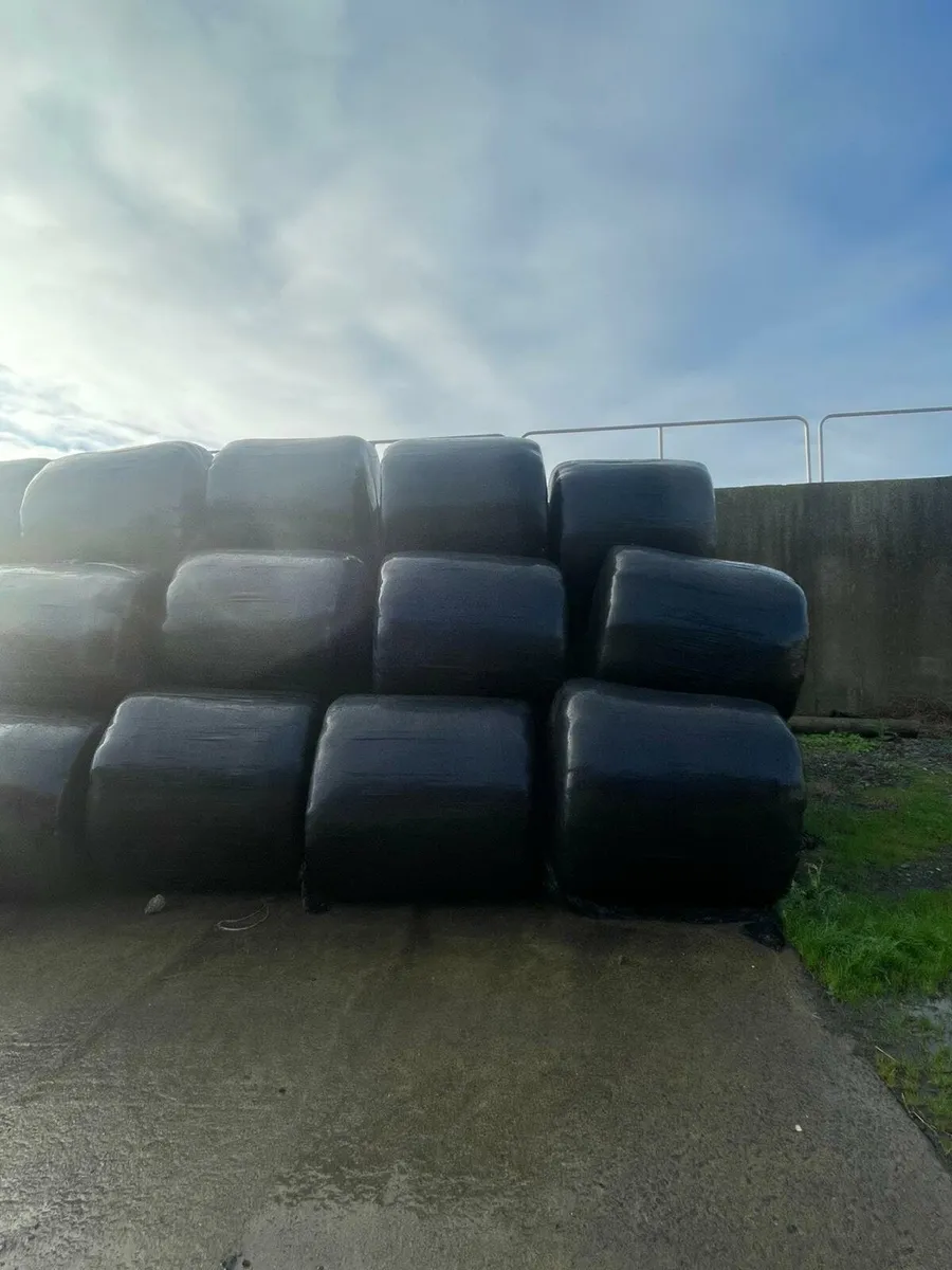 Silage bales for sale - Image 1