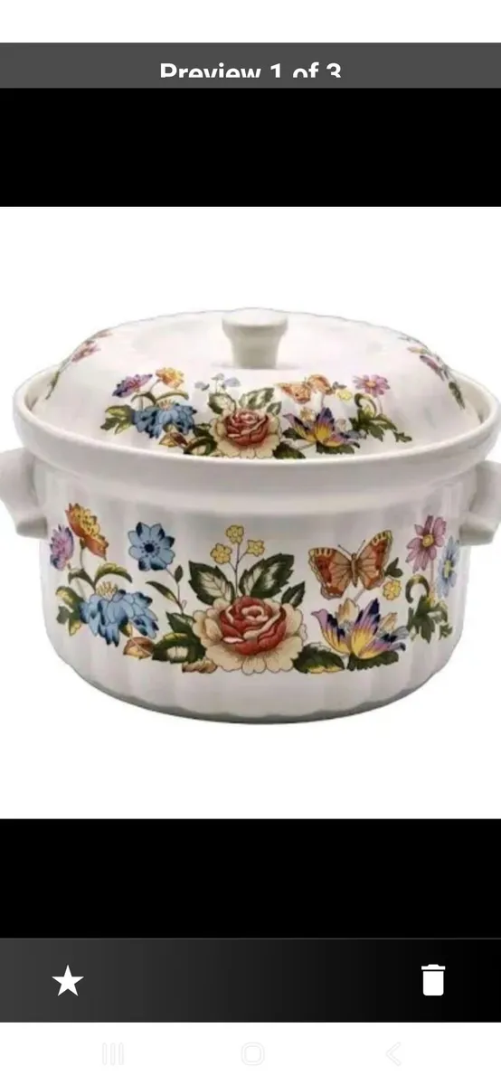 Aynsley  Hystles  Oven to Table Pot