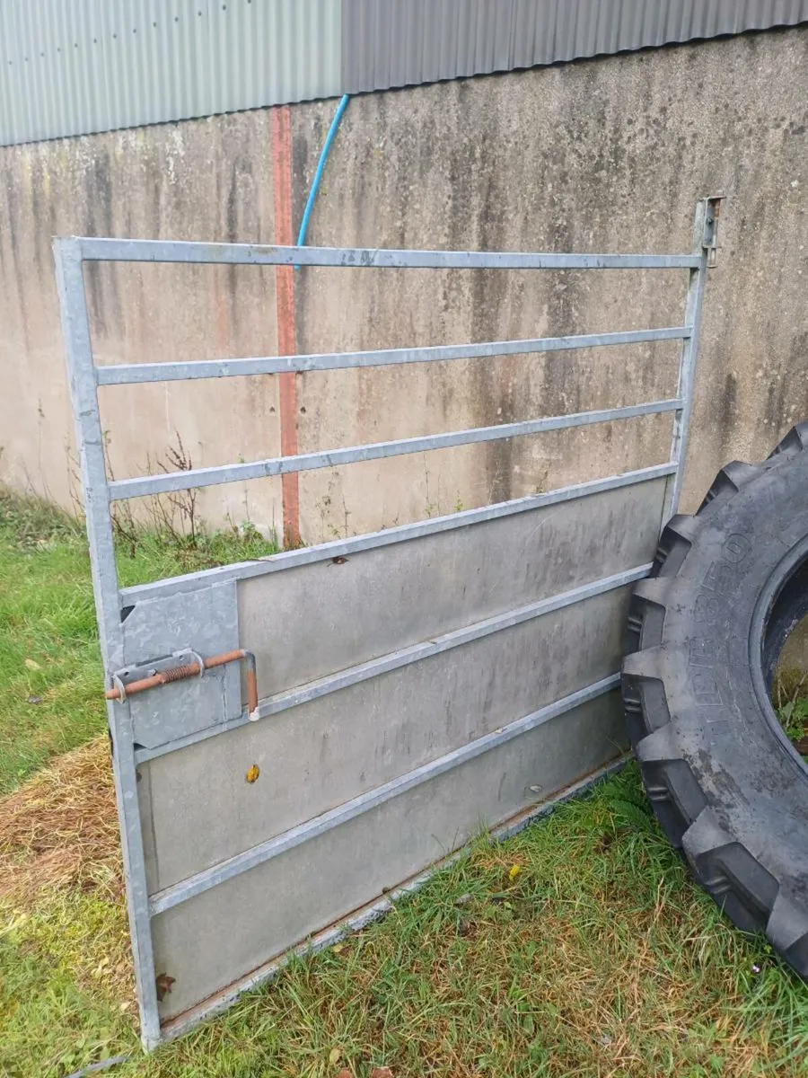 Hudson and ifor williams cattle dividers - Image 1