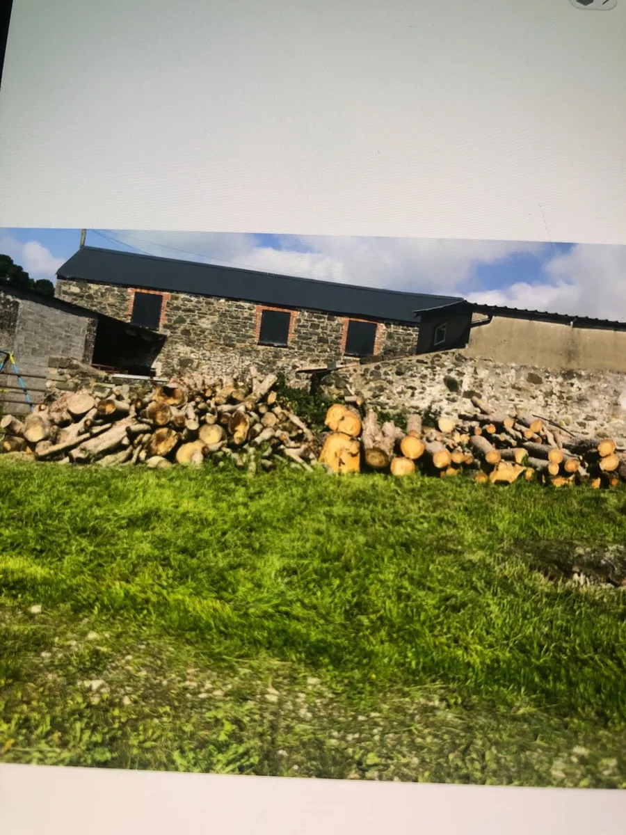 Firewood